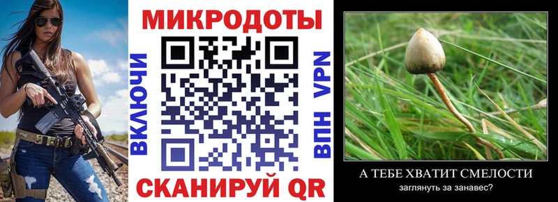 Купить закладки  Балтийск  Галлюциногенные грибы Psilocybe 